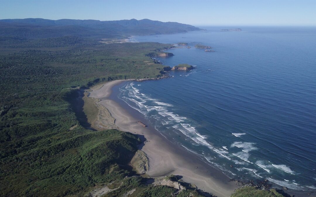 Propuesta de creación de Área Marina Costera Protegida de Múltiples Usos para el Archipiélago de Chiloé