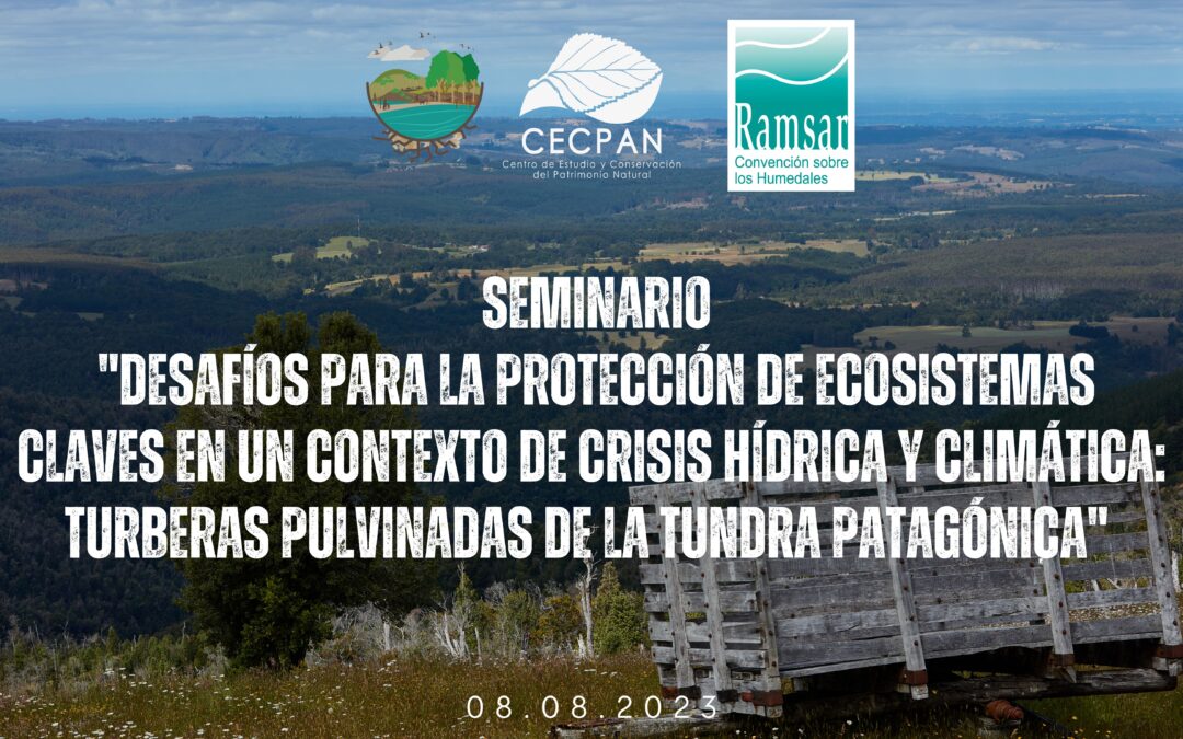 Presentaciones seminario «Desafíos para la protección de ecosistemas claves en un contexto de crisis hídrica y climática: Turberas pulvinadas de la tundra patagónica».